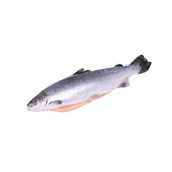 Тушка лосося охолоджена з головою 4-6кг (відвантажується тушкою)